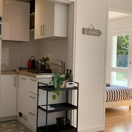 Daire Trouville, Renove Avec Grande Terrasse Au Calme