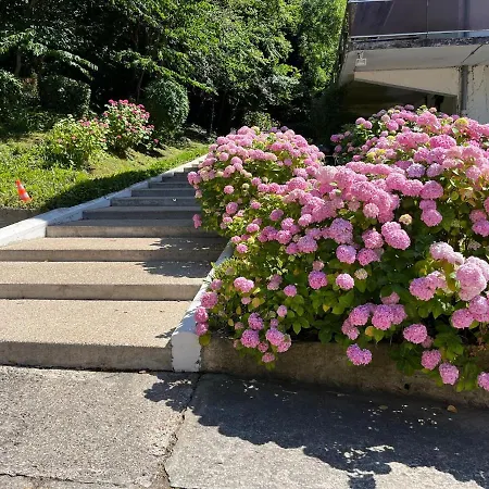 Trouville, Renove Avec Grande Terrasse Au Calme Daire *