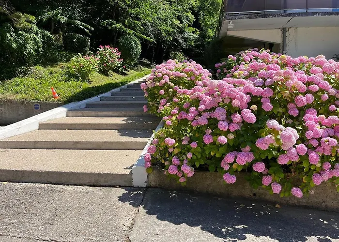 Trouville, Renove Avec Grande Terrasse Au Calme Apartmán *